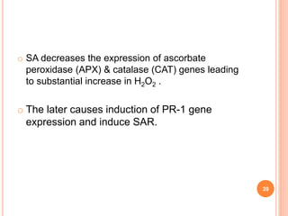 o SA decreases the expression of ascorbate
peroxidase (APX) & catalase (CAT) genes leading
to substantial increase in H2O2 .
o The later causes induction of PR-1 gene
expression and induce SAR.
39
 