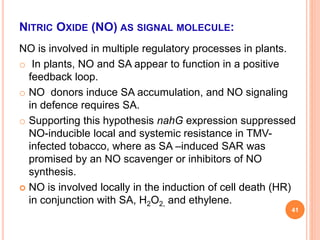 NITRIC OXIDE (NO) AS SIGNAL MOLECULE:
NO is involved in multiple regulatory processes in plants.
o In plants, NO and SA appear to function in a positive
feedback loop.
o NO donors induce SA accumulation, and NO signaling
in defence requires SA.
o Supporting this hypothesis nahG expression suppressed
NO-inducible local and systemic resistance in TMV-
infected tobacco, where as SA –induced SAR was
promised by an NO scavenger or inhibitors of NO
synthesis.
 NO is involved locally in the induction of cell death (HR)
in conjunction with SA, H2O2, and ethylene.
41
 