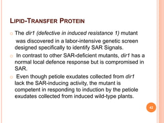 LIPID-TRANSFER PROTEIN
o The dir1 (defective in induced resistance 1) mutant
was discovered in a labor-intensive genetic screen
designed specifically to identify SAR Signals.
o In contrast to other SAR-deficient mutants, dir1 has a
normal local defence response but is compromised in
SAR.
o Even though petiole exudates collected from dir1
lack the SAR-inducing activity, the mutant is
competent in responding to induction by the petiole
exudates collected from induced wild-type plants.
42
 