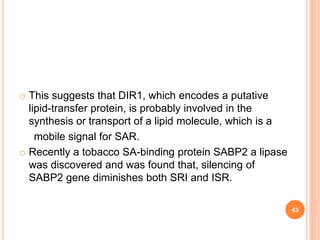 o This suggests that DIR1, which encodes a putative
lipid-transfer protein, is probably involved in the
synthesis or transport of a lipid molecule, which is a
mobile signal for SAR.
o Recently a tobacco SA-binding protein SABP2 a lipase
was discovered and was found that, silencing of
SABP2 gene diminishes both SRI and ISR.
43
 