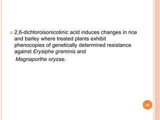  2,6-dichloroisonicotinic acid induces changes in rice
and barley where treated plants exhibit
phenocopies of genetically determined resistance
against Erysiphe graminis and
Magnaporthe oryzae.
49
 