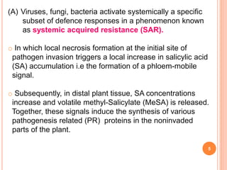 5
(A) Viruses, fungi, bacteria activate systemically a specific
subset of defence responses in a phenomenon known
as systemic acquired resistance (SAR).
o In which local necrosis formation at the initial site of
pathogen invasion triggers a local increase in salicylic acid
(SA) accumulation i.e the formation of a phloem-mobile
signal.
o Subsequently, in distal plant tissue, SA concentrations
increase and volatile methyl-Salicylate (MeSA) is released.
Together, these signals induce the synthesis of various
pathogenesis related (PR) proteins in the noninvaded
parts of the plant.
 