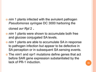  nim 1 plants infected with the avirulent pathogen
Pseudomonas syringae DC 3000 harboring the
cloned avr Rpt 2 .
 nim 1 plants were shown to accumulate both free
and glucose conjugated SA levels.
 nim 1 plants are able to accumulate SA in response
to pathogen infection but appear to be defective in
SA perception or in subsequent SA sensing events.
 The nim1 and npr1 mutations define genes that act
before SAR gene expression substantiated by the
lack of PR-1 induction. 53
 