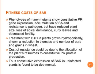 FITNESS COSTS OF SAR
 Phenotypes of many mutants show constitutive PR
gene expression, accumulation of SA and
resistance to pathogen, but have reduced plant
size, loss of apical dominance, curly leaves and
decreased fertility.
 Treatment with BTH in plants grown hydroponically,
shown a reduction in biomass and number of ears
and grains in wheat.
 Cost of resistance could be due to the allocation of
the plant’s resources to constitutive PR protein
production.
 Thus constitutive expression of SAR in uninfected
plants is found to be detrimental. 54
 
