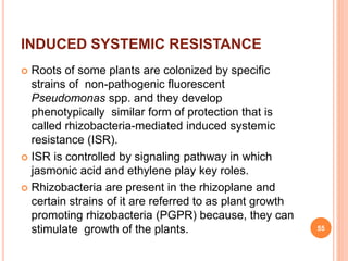 INDUCED SYSTEMIC RESISTANCE
 Roots of some plants are colonized by specific
strains of non-pathogenic fluorescent
Pseudomonas spp. and they develop
phenotypically similar form of protection that is
called rhizobacteria-mediated induced systemic
resistance (ISR).
 ISR is controlled by signaling pathway in which
jasmonic acid and ethylene play key roles.
 Rhizobacteria are present in the rhizoplane and
certain strains of it are referred to as plant growth
promoting rhizobacteria (PGPR) because, they can
stimulate growth of the plants. 55
 