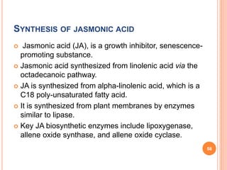 SYNTHESIS OF JASMONIC ACID
 Jasmonic acid (JA), is a growth inhibitor, senescence-
promoting substance.
 Jasmonic acid synthesized from linolenic acid via the
octadecanoic pathway.
 JA is synthesized from alpha-linolenic acid, which is a
C18 poly-unsaturated fatty acid.
 It is synthesized from plant membranes by enzymes
similar to lipase.
 Key JA biosynthetic enzymes include lipoxygenase,
allene oxide synthase, and allene oxide cyclase.
58
 