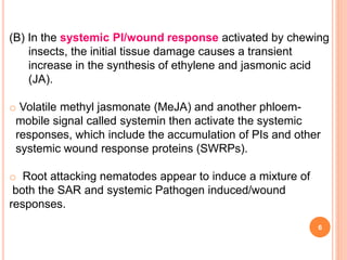 6
(B) In the systemic PI/wound response activated by chewing
insects, the initial tissue damage causes a transient
increase in the synthesis of ethylene and jasmonic acid
(JA).
o Volatile methyl jasmonate (MeJA) and another phloem-
mobile signal called systemin then activate the systemic
responses, which include the accumulation of PIs and other
systemic wound response proteins (SWRPs).
o Root attacking nematodes appear to induce a mixture of
both the SAR and systemic Pathogen induced/wound
responses.
 
