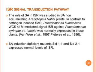 ISR SIGNAL TRANSDUCTION PATHWAY
 The role of SA in ISR was studied in SA non
accumulating Arabidiopsis NahG plants. In contrast to
pathogen induced SAR, Pseudomonas fluorescens
WCS 417r-mediated signal ISR against Psuedomonas
syringae pv. tomato was normally expressed in these
plants. (Van Wee et al., 1997;Pieterse et al., 1996).
 SA induction deficient mutants Sid 1-1 and Sid 2-1
expressed normal levels of ISR.
62
 