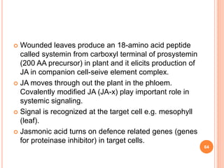  Wounded leaves produce an 18-amino acid peptide
called systemin from carboxyl terminal of prosystemin
(200 AA precursor) in plant and it elicits production of
JA in companion cell-seive element complex.
 JA moves through out the plant in the phloem.
Covalently modified JA (JA-x) play important role in
systemic signaling.
 Signal is recognized at the target cell e.g. mesophyll
(leaf).
 Jasmonic acid turns on defence related genes (genes
for proteinase inhibitor) in target cells.
64
 
