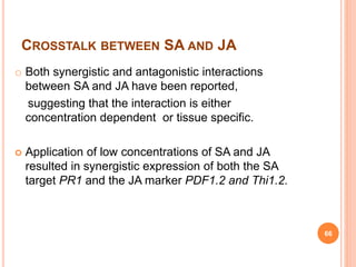 CROSSTALK BETWEEN SA AND JA
o Both synergistic and antagonistic interactions
between SA and JA have been reported,
suggesting that the interaction is either
concentration dependent or tissue specific.
 Application of low concentrations of SA and JA
resulted in synergistic expression of both the SA
target PR1 and the JA marker PDF1.2 and Thi1.2.
66
 