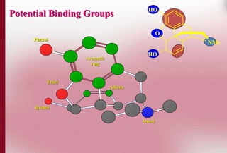 Phenol 
Ether 
Alcohol 
Aromatic 
ring 
Alkene 
Amine 
O 
NMe 
HO 
HO 
Potential Binding Groups 
 