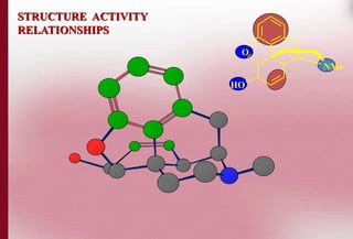 O 
NMe 
HO 
STRUCTURE ACTIVITY 
RELATIONSHIPS 
 