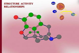 O 
NMe 
STRUCTURE ACTIVITY HO 
RELATIONSHIPS 
 
