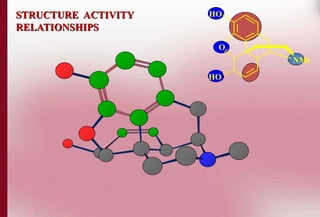 O 
NMe 
HO 
HO 
STRUCTURE ACTIVITY 
RELATIONSHIPS 
 
