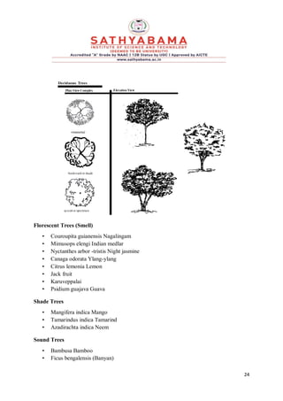 24
Florescent Trees (Smell)
• Couroupita guianensis Nagalingam
• Mimusops elengi Indian medlar
• Nyctanthes arbor -tristis Night jasmine
• Canaga odorata Ylang-ylang
• Citrus lemonia Lemon
• Jack fruit
• Karuveppalai
• Psidium guajava Guava
Shade Trees
• Mangifera indica Mango
• Tamarindus indica Tamarind
• Azadirachta indica Neem
Sound Trees
• Bambusa Bamboo
• Ficus bengalensis (Banyan)
 