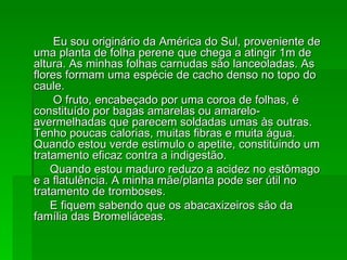 Eu sou originário da América do Sul, proveniente de uma planta de folha perene que chega a atingir 1m de altura. As minhas folhas carnudas são lanceoladas. As flores formam uma espécie de cacho denso no topo do caule.  O fruto, encabeçado por uma coroa de folhas, é constituído por bagas amarelas ou amarelo-avermelhadas que parecem soldadas umas às outras. Tenho poucas calorias, muitas fibras e muita água. Quando estou verde estimulo o apetite, constituindo um tratamento eficaz contra a indigestão.  Quando estou maduro reduzo a acidez no estômago e a flatulência. A minha mãe/planta pode ser útil no tratamento de tromboses.  E fiquem sabendo que os abacaxizeiros são da família das Bromeliáceas.  