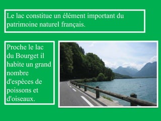 Le lac constitue un élément important du patrimoine naturel français. .Proche le lac du Bourget il habite un grand nombre d'espèces de poissons et d'oiseaux.