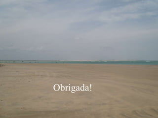 Obrigada! Obrigada! Obrigada! 