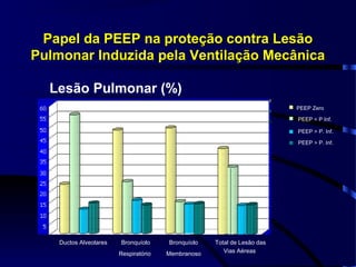 Papel da PEEP na proteção contra Lesão
Pulmonar Induzida pela Ventilação Mecânica

  Lesão Pulmonar (%)
                                                                           PEEP Zero

                                                                           PEEP < P Inf.

                                                                           PEEP > P. Inf.

                                                                           PEEP > P. Inf.




    Ductos Alveolares -   Bronquíolo     Bronquíolo   Total de Lesão das
                          Respiratório   Membranoso      Vias Aéreas
 