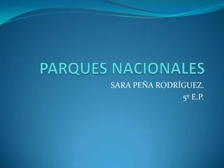 SARA PEÑA RODRÍGUEZ.
               5º E.P.
 