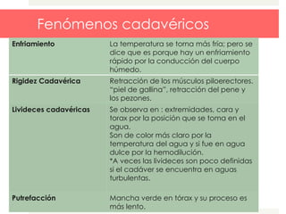 Fenómenos cadavéricos
Enfriamiento La temperatura se torna más fría; pero se
dice que es porque hay un enfriamiento
rápido por la conducción del cuerpo
húmedo.
Rigidez Cadavérica Retracción de los músculos piloerectores.
“piel de gallina”, retracción del pene y
los pezones.
Livideces cadavéricas Se observa en : extremidades, cara y
torax por la posición que se toma en el
agua.
Son de color más claro por la
temperatura del agua y si fue en agua
dulce por la hemodilución.
*A veces las livideces son poco definidas
si el cadáver se encuentra en aguas
turbulentas.
Putrefacción Mancha verde en tórax y su proceso es
más lento.
 