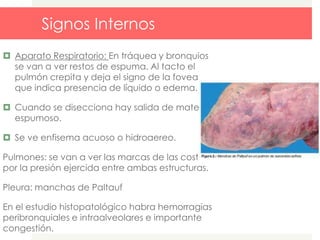 Signos Internos
 Aparato Respiratorio: En tráquea y bronquios
se van a ver restos de espuma. Al tacto el
pulmón crepita y deja el signo de la fovea
que indica presencia de líquido o edema.
 Cuando se disecciona hay salida de material
espumoso.
 Se ve enfisema acuoso o hidroaereo.
Pulmones: se van a ver las marcas de las costillas
por la presión ejercida entre ambas estructuras.
Pleura: manchas de Paltauf
En el estudio histopatológico habra hemorragias
peribronquiales e intraalveolares e importante
congestión.
 