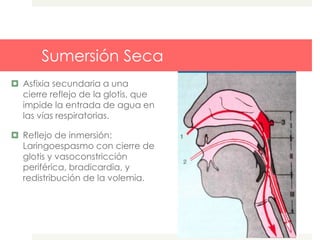 Sumersión Seca
 Asfixia secundaria a una
cierre reflejo de la glotis, que
impide la entrada de agua en
las vías respiratorias.
 Reflejo de inmersión:
Laringoespasmo con cierre de
glotis y vasoconstricción
periférica, bradicardia, y
redistribución de la volemia.
 