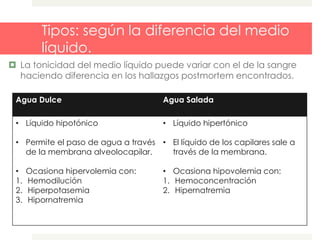 Tipos: según la diferencia del medio
líquido.
 La tonicidad del medio líquido puede variar con el de la sangre
haciendo diferencia en los hallazgos postmortem encontrados.
Agua Dulce Agua Salada
• Líquido hipotónico
• Permite el paso de agua a través
de la membrana alveolocapilar.
• Ocasiona hipervolemia con:
1. Hemodilución
2. Hiperpotasemia
3. Hipornatremia
• Líquido hipertónico
• El líquido de los capilares sale a
través de la membrana.
• Ocasiona hipovolemia con:
1. Hemoconcentración
2. Hipernatremia
 