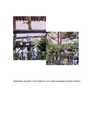 Estudiantes de grado 7 de la institucion en la salida pedagogica al jardin botanico 
 