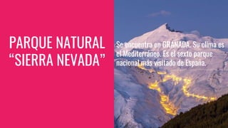 PARQUE NATURAL
“SIERRA NEVADA”
Se encuentra en GRANADA. Su clima es
el Mediterráneo. Es el sexto parque
nacional más visitado de España.
 