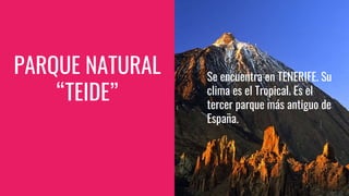 PARQUE NATURAL
“TEIDE”
Se encuentra en TENERIFE. Su
clima es el Tropical. Es el
tercer parque más antiguo de
España.
 