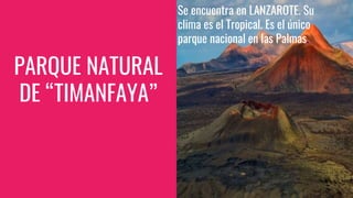 PARQUE NATURAL
DE “TIMANFAYA”
Se encuentra en LANZAROTE. Su
clima es el Tropical. Es el único
parque nacional en las Palmas.
 