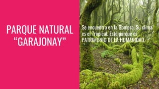 PARQUE NATURAL
“GARAJONAY”
Se encuentra en la Gomera. Su clima
es el Tropical. Este parque es
PATRIMONIO DE LA HUMANIDAD.
 