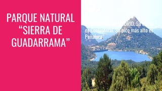PARQUE NATURAL
“SIERRA DE
GUADARRAMA”
Se encuentra en MADRID. Su clima
es Continental. Su pico más alto es
Peñalara.
 