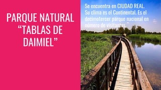 PARQUE NATURAL
“TABLAS DE
DAIMIEL”
Se encuentra en CIUDAD REAL.
Su clima es el Continental. Es el
decimotercer parque nacional en
número de visitantes.
 