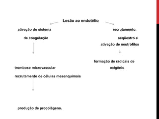 Lesão ao endotélio
ativação do sistema recrutamento,
de coagulação seqüestro e
ativação de neutrófilos
formação de radicais de
trombose microvascular oxigênio
recrutamento de células mesenquimais
produção de procolágeno.
 