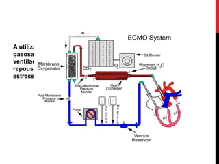 A utilização de ECMO nestas situações garante a troca
gasosa com oxigenação adequada enquanto o pulmão é
ventilado de forma protetora, proporcionando um tempo de
repouso no qual o pulmão vai recuperar-se do evento
estressor.
 