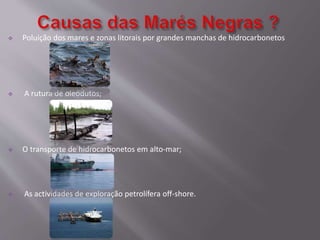  Poluição dos mares e zonas litorais por grandes manchas de hidrocarbonetos
 A rutura de oleodutos;
 O transporte de hidrocarbonetos em alto-mar;
 As actividades de exploração petrolífera off-shore.
 