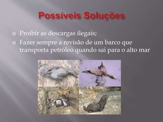  Proibir as descargas ilegais;
 Fazer sempre a revisão de um barco que
transporta petróleo quando sai para o alto mar
 