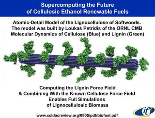 Supercomputing the Future
      of Cellulosic Ethanol Renewable Fuels
 Atomic-Detail Model of the Lignocellulose of Softwoods.
The model was built by Loukas Petridis of the ORNL CMB
Molecular Dynamics of Cellulose (Blue) and Lignin (Green)




          Computing the Lignin Force Field
   & Combining With the Known Cellulose Force Field
              Enables Full Simulations
             of Lignocellulosic Biomass

          www.scidacreview.org/0905/pdf/biofuel.pdf
 