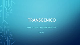 TRANSGENICO
SARA ELIZABETH PARRA ANGARITA
10-01
 