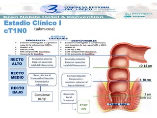 Estadio Clínico I
cT1N0
RECTO
MEDIO
RECTO
ALTO
RECTO
BAJO
5 cm
5-10 cm
10-15 cm
Borde anal
CANAL ANAL
Resección Local
Transanal o Disección
Endoscópica
submucosa.
Resección Anterior
Baja con resección
total del Mesorrecto.
Escisión total del
Mesorrecto +
anastom. colorrectal
baja o coloanal.
Resección
Local
Transanal.
RT/QT
Ady
Resección Anterior
Baja con resección
total del Mesorrecto.
(submucosa)
Considerar
RT/QT
 