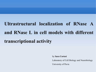 Ultrastructural localization of RNase A and RNase L in cell models with different transcriptional activity  by  Sara Cortesi Laboratory of Cell Biology and Neurobiology  University of Pavia 