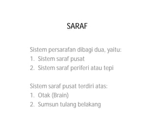 SARAF

Sistem persarafan dibagi dua, yaitu:
1. Sistem saraf pusat
2. Sistem saraf periferi atau tepi

Sistem saraf pusat terdiri atas:
1. Otak (Brain)
2. Sumsun tulang belakang
 