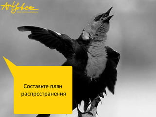 Составьте план
распространения
 
