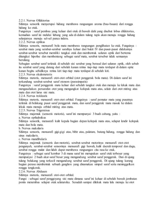 2.2.1. Nervus Olfaktorius
Sifatnya sensorik menyerupai hidung membawa rangsangan aroma (bau-bauan) dari rongga
hidung ke otak.
Fungsinya : saraf pembau yang keluar dari otak di bawah dahi yang disebut lobus difaktorius,
kemudian saraf ini melalui lubang yang ada di dalam tulang tapis akan menuju rongga hidung
selanjutnya menuju sel-sel panca indera.
2.2.2. Nervus optikus
Sifatnya sensoris, mensarafi bola mata membawa rangsangan penglihatan ke otak. Fungsinya :
serabut mata yang serabut-serabut sarafnya keluar dari bukit IV dan pusat-pusat didekatnya
serabut-serabut tersebut memiliki tangkai otak dan membentuk saluran optik dari bertemu
ditangkai hipofise dan membentang sebagai saraf mata, serabut tersebut tidak semuanya
bersilang.
Sebagian serabut saraf terletak di sebelah sisi serabut yang berasal dari saluran optik, oleh sebab
itu serabut saraf yang datang dari sebelah kanan retina tiap-tiap mata terdapat di dalam optic
kanan begitu sebaliknya retina kiri tiap-tiap mata terdapat di sebelah kiri.
2.2.3. Nervus okulomotoris
Sifatnya motoris, mensarafi otot-otot orbital (otot penggerak bola mata). Di dalam saraf ini
terkandung serabut-serabut saraf otonom (parasimpatis)
Fungsinya : saraf penggerak mata keluar dari sebelah tangkai otak dan menuju ke lekuk mata dan
mengusahakan persarafan otot yang mengangkat kelopak mata atas, selain dari otot miring atas
mata dan otot lurus sisi mata.
2.2.4. Nervus troklearis
Sifatnya motoris, mensarafi otot-otot orbital. Fungsinya : saraf pemutar mata yang pusatnya
terletak di belakang pusat saraf penggerak mata, dan saraf penggerak mata masuk ke dalam
lekuk mata menuju orbital miring atas mata.
2.2.5. Nervus Trigeminus
Sifatnya majemuk (sensoris motoris), saraf ini mempunyai 3 buah cabang, yaitu :
a. Nervus opthalmikus
Sifatnya sensorik, mensarafi kulit kepala bagian depan kelopak mata atas, selaput lendir kelopak
mata dan bola mata.
b. Nervus maksilaris
Sifatnya sensoris, mensarafi gigi-gigi atas, bibir atas, palatum, batang hidung, rongga hidung dan
sinus maksilaris.
c. Nervus mandibularis
Sifatnya majemuk (sensoris dan motoris), serabut-serabut motorinya mensarafi otot-otot
pengunyah, serabut-serabut sensorinya mensarafi gigi bawah, kulit daerah temporal dan dagu,
serabut rongga mulut dan lidah dapat membawa rangsangan cita rasa ke otak.
Fungsinya : sebagai saraf kembar 3 di mana saraf ini merupakan saraf otak terbesar yang
mempunyai 2 buah akar saraf besar yang mengandung serabut saraf penggerak. Dan di ujung
tulang belakang yang terkecil mengandung serabut saraf penggerak. Di ujung tulang karang
bagian perasa membentuk sebuah ganglion yang dinamakan simpul saraf serta meninggalkan
rongga tengkorak.
2.2.6. Nervus Abdusen
Sifatnya motoris, mensarafi otot-otot orbital.
Fungsi : sebagai saraf penggoyang sisi mata dimana saraf ini keluar di sebelah bawah jembatan
pontis menembus selaput otak selatursika. Sesudah sampai dilekuk mata lalu menuju ke otot
 