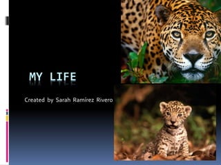 MY LIFE
Created by Sarah Ramírez Rivero
 