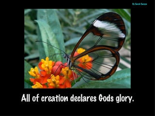 By Sarah Swayn




All of creation declares Gods glory.
 