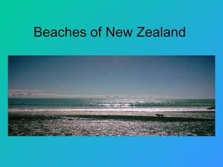 Beaches of New Zealand 