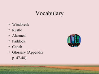 Vocabulary Windbreak Rustle Alarmed Paddock Conch Glossary (Appendix  p. 47-48) 